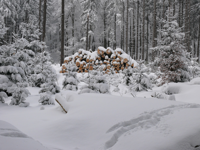 Winter_im_Taunus