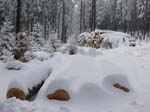 Holzstapel_im_Schnee