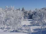Weisser_Feldberg