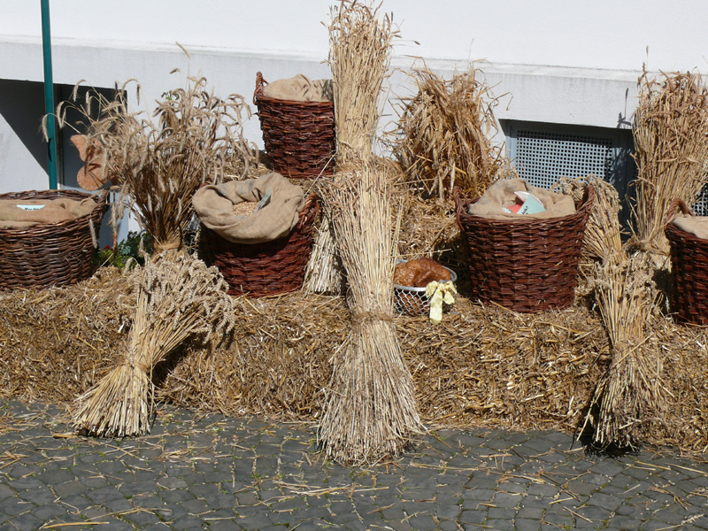 Getreide_und_Brot