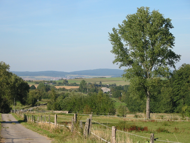 Erlenbachtal