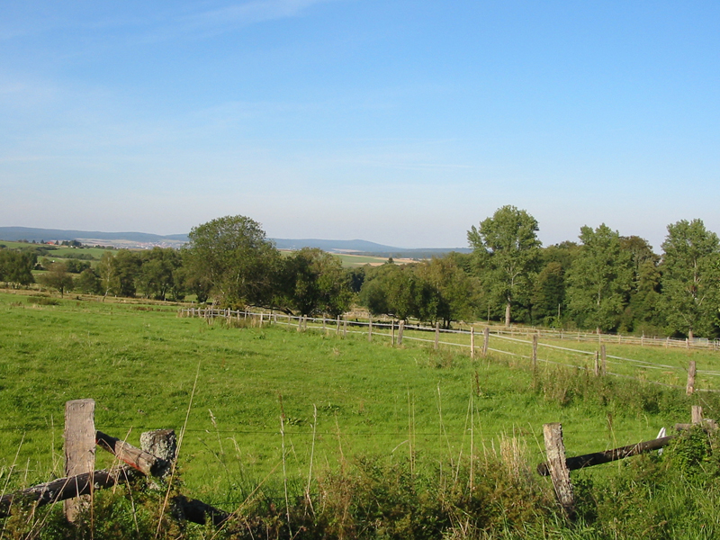 Erlenbachtal_02
